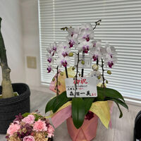 ブログ画像